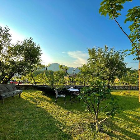 Country House Djurisic Virpazar Kültér fotó