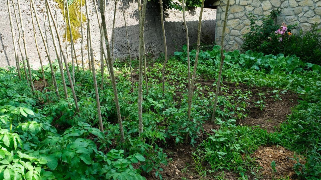 Country House Djurisic Virpazar Kültér fotó