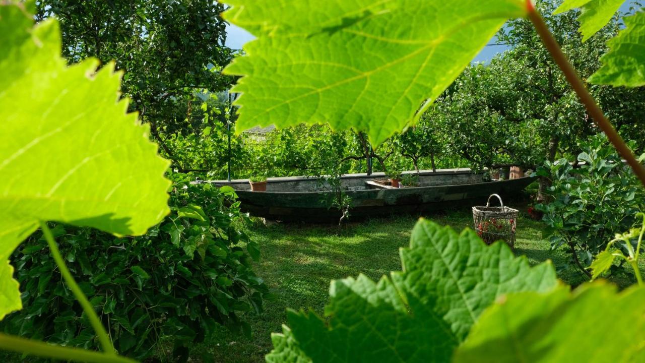 Country House Djurisic Virpazar Kültér fotó